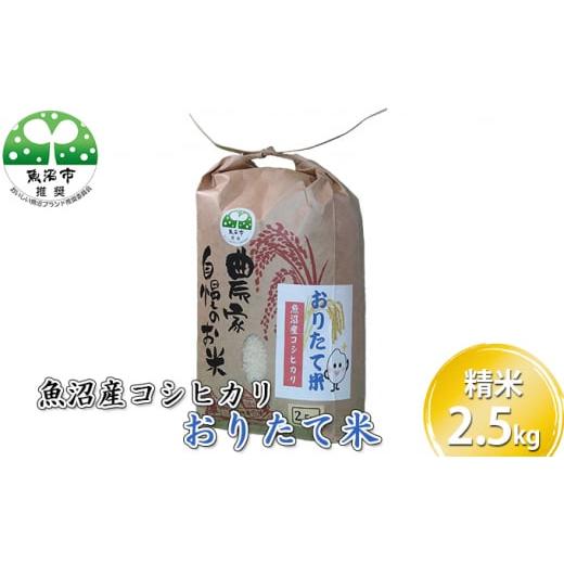 ふるさと納税 米 コシヒカリ 新潟県 魚沼市   令和7年産 魚沼産コシヒカリ おりたて米 (精米)2.5kg お米