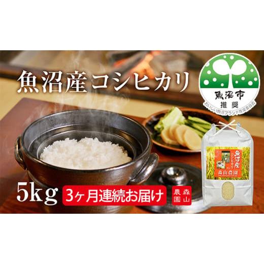 ふるさと納税 米 コシヒカリ 新潟県 魚沼市   森山農園 魚沼産コシヒカリ 5kg 3ヶ月連続お届け お米