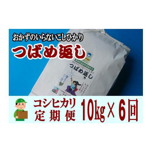 ふるさと納税 新潟県 燕市 【令和6年産米予約受付中】おかずのいらないコシヒカリ「つばめ返し10kg」6か月定期便(月イチで計6回) FC090011｜furusatochoice｜03