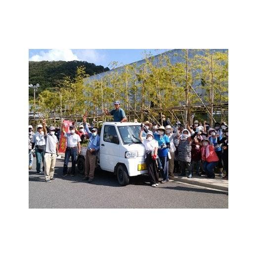 ふるさと納税 セット・詰合せ 千葉県 鋸南町 道の駅保田小学校スタッフ厳選 鋸南町農産物セットA ／ やさい 季節野菜 千葉県 特産品 F22X-029の画像