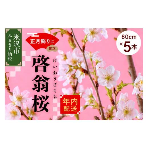ふるさと納税 雑貨・日用品 花 山形県 米沢市 年内発送 数量限定 啓翁桜 ( けいおうざくら ) 80cm × 5本 切り花 2025年12月下旬頃お届け