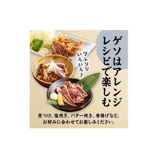 ふるさと納税 いか 福岡県 宗像市 刺身用 事あたらしいヤリイカ2杯仕かける(宗像鐘崎産) マルケイ水産 _HA0416 | いか 烏賊 いか 生まれながら 凝結 宗像 福岡