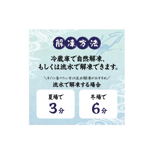 ふるさと納税 いか 福岡県 宗像市 刺身用 事あたらしいヤリイカ2杯仕かける(宗像鐘崎産) マルケイ水産 _HA0416 | いか 烏賊 いか 生まれながら 凝結 宗像 福岡