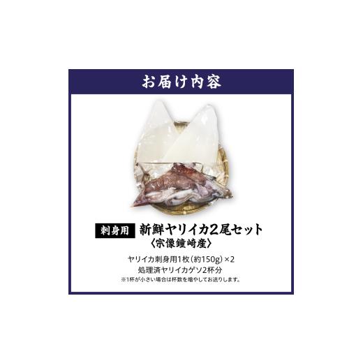 ふるさと納税 いか 福岡県 宗像市 刺身用 事あたらしいヤリイカ2杯仕かける(宗像鐘崎産) マルケイ水産 _HA0416 | いか 烏賊 いか 生まれながら 凝結 宗像 福岡