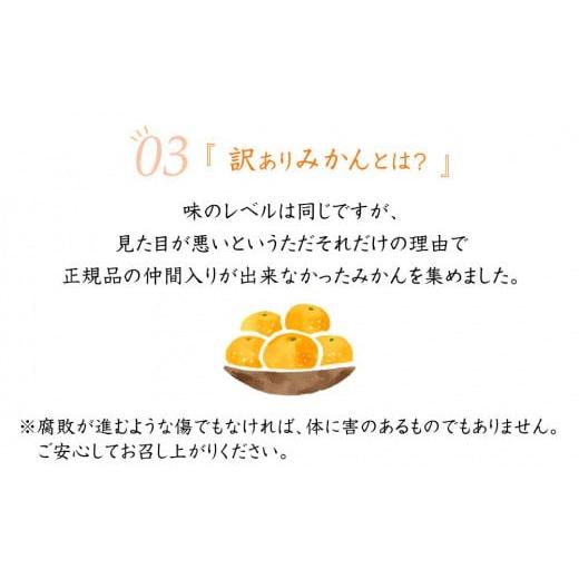 ふるさと納税 和歌山県 海南市 極早生みかん6.5kg(大小混合)《ご家庭用》ちょっと訳あり　和歌山県より農園直送！まごころ産直みかん【北海道・沖縄県・一部離…｜furusatochoice｜06