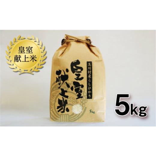 ふるさと納税 米 コシヒカリ 福島県 玉川村 FT18-266 玉川村産コシヒカリ 5kg コシヒカリ 米 お米 ブランド米 銘柄米 備蓄 日本米 こしひかり コメ ごはん ご…