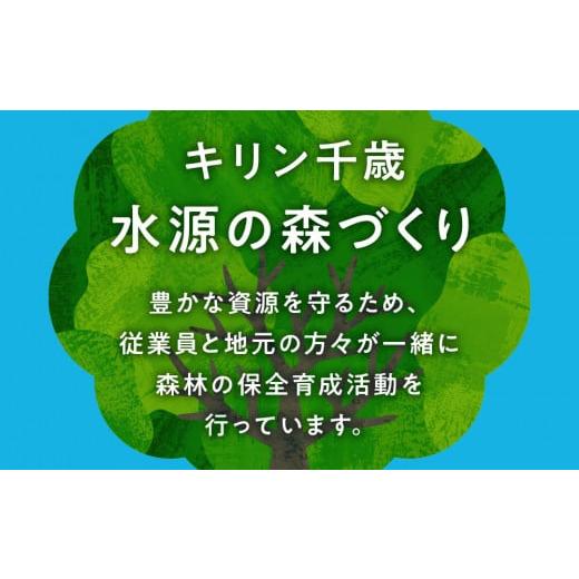 ふるさと納税 北海道 千歳市 キリン一番搾り生ビール＜北海道千歳工場産＞350ml（24本） 2ケース｜furusatochoice｜05