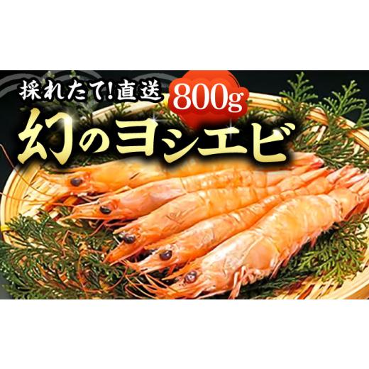 ふるさと納税 エビ 福岡県 豊前市 先行予約 幻のヨシエビ 約400gブロック×2 2026年12月以降順次発送 [豊前市] 豊築漁業協同組合 VAG012 エビ えび 海老 ヨ…