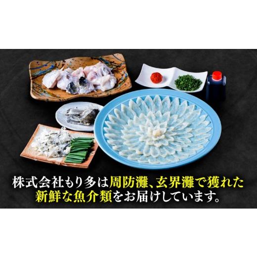 ふるさと納税 フグ 福岡県 豊前市 国産活本ふぐ（とらふぐ）の刺身 《もり多》 豊前市 とらふぐ ふぐ VAF013_5