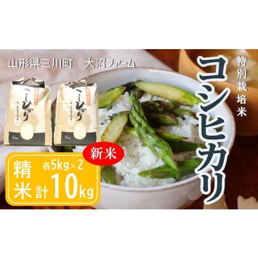 ふるさと納税 米 コシヒカリ 山形県 三川町 令和8年産・精米 大沼ファームの特別栽培米コシヒカリ10kg 10月中旬頃から順次配送予定 令和8年産 10月中旬頃か…