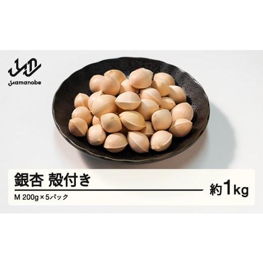 ふるさと納税 野菜類 山形県 山辺町 先行予約 2025年 山形県産 銀杏 殻付き M 約1kg(200g×5パック)2025年10月上旬から順次発送 ぎんなん おつまみ 真空パ…
