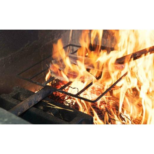 ふるさと納税 カツオ 高知県 室戸市  12回定期便 厳選かつおの完全わら焼きたたき 1回あたり2節 室戸海洋深層水の塩付き 毎月お届け | 藁焼き カツオ 鰹 高知 …_7