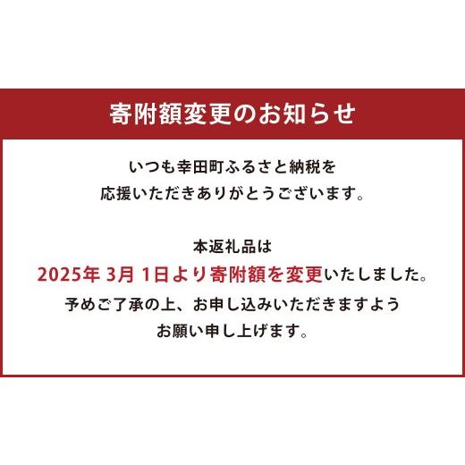 ふるさと納税 電化製品 愛知県 幸田町  寄附受付は4月30日（木）まで aibo 自律型エンターテインメント ロボット (カラー：アイボリーホワイト) 令和2年度 全…の画像