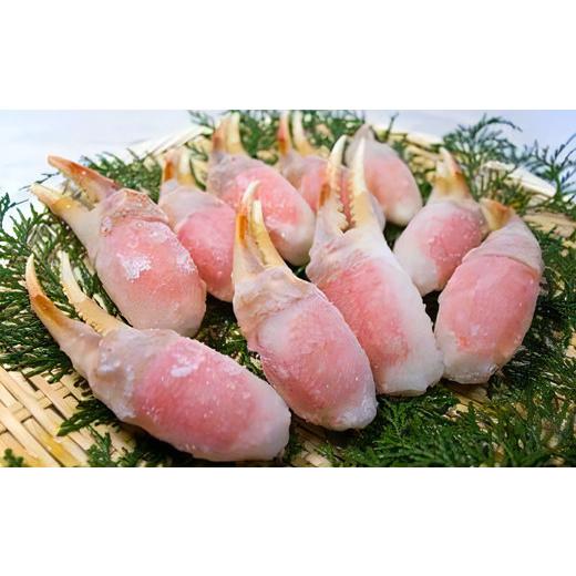 ふるさと納税 カニ ずわいガニ 大阪府 泉大津市 本生ずわい蟹 カニ爪セット 400g | カニ かに 蟹 冷凍 カニしゃぶ お鍋 フライ 蟹爪 魚介 海鮮 大阪府 泉大津…の画像