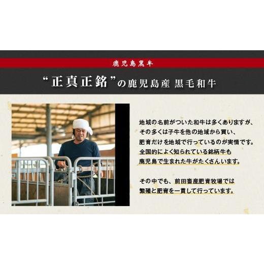 牛肉 すき焼き 鹿児島県 大崎町 鹿児島県産黒毛和牛　モモ・バラ すきやき用 【コース】