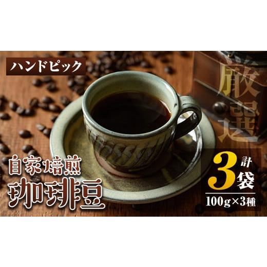 ふるさと納税 コーヒー コーヒー豆 鹿児島県 伊佐市 isa198 自家焙煎珈琲豆3袋(計300g・100g×3種)ふるさと納税 伊佐市 特産品 コーヒー coffee コーヒー豆 自…