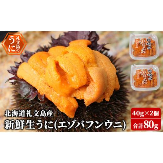 ふるさと納税 ウニ 北海道 礼文町 先行予約 北海道 礼文島産 新鮮生うに( エゾバフンウニ)40g×2個 ウニ 雲丹 魚貝類 80g