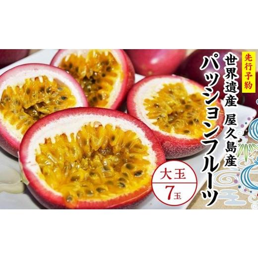 ふるさと納税 果物類 鹿児島県 屋久島町 2026年発送先行受付 絶品パッションフルーツ大玉(7玉)“屋久島の恵み"と“愛情"込めて