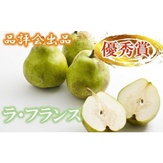 ふるさと納税 梨 山形県 南陽市 品評会出品 優秀賞 ラ・フランス 約3kg (10個) [令和7年11月22日一斉発送] 『JA山形おきたま』 南陽市農業祭 山形県 南陽市 …