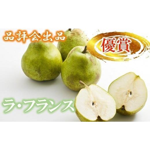 ふるさと納税 梨 山形県 南陽市 品評会出品 優賞 ラ・フランス 約3kg (10個) [令和7年11月22日一斉発送] 『JA山形おきたま』 南陽市農業祭 山形県 南陽市 10…