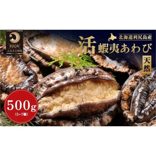 ふるさと納税 魚貝類 アワビ 北海道 利尻町 2025年発送受付 北海道利尻島産 天然[活]蝦夷アワビ500g(5〜7個) 10月下旬〜12月下旬発送 1030022