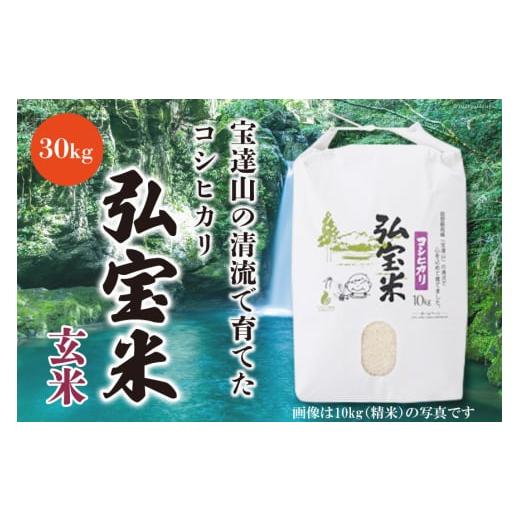 ふるさと納税 米 コシヒカリ 石川県 宝達志水町 期間限定発送 米 令和7年 コシヒカリ 「弘宝米」 玄米 30kg 1袋 中西農場 石川県 宝達志水町 38601281 お米 …