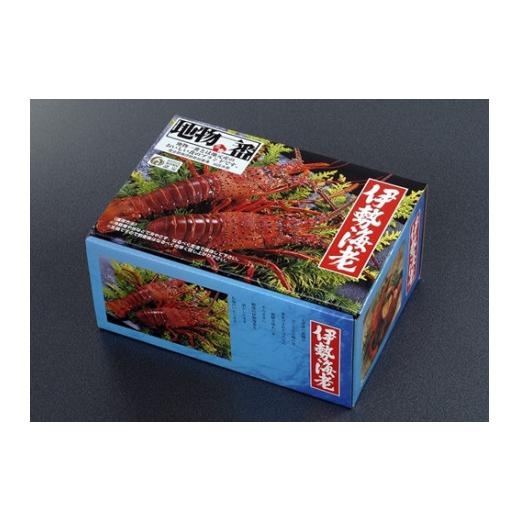 ふるさと納税 三重県 南伊勢町 大伊勢海老（400〜600g）１尾　山庄水産／　活　伊勢えび　三重県　南伊勢町　ブランド　伊勢志摩 大伊勢海老 600g