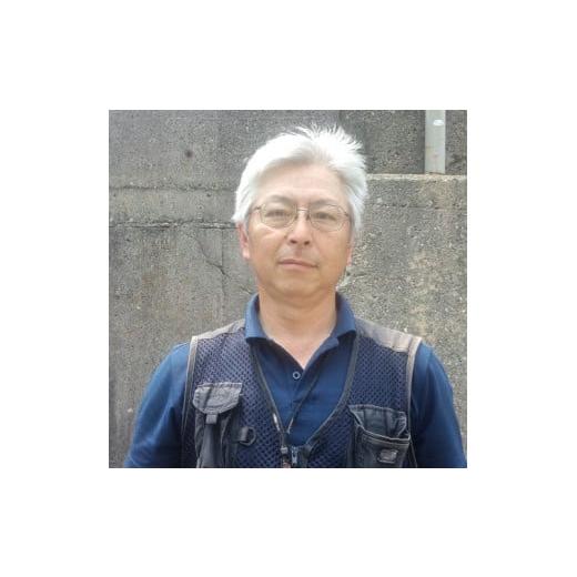 ふるさと納税 三重県 南伊勢町 大伊勢海老（400〜600g）１尾　山庄水産／　活　伊勢えび　三重県　南伊勢町　ブランド　伊勢志摩 大伊勢海老 600g