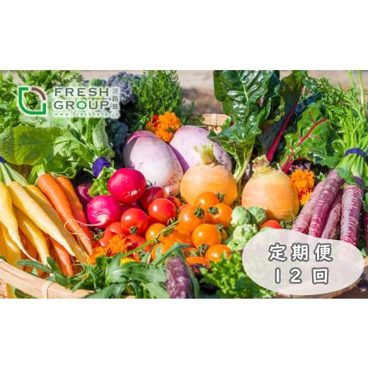 ふるさと納税 セット・詰合せ 兵庫県 淡路市 定期便 彩り野菜と香るハーブセット 12回お届けセット 野菜セット 農家直送 詰め合わせ 12回お届けセット…