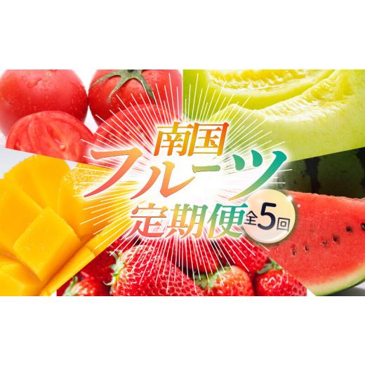 ふるさと納税 果物の詰合せ 高知県 南国市  年5回 旬のフルーツ定期便 季節のフルーツセット｜5回定期便 イチゴ いちご スイカ すいか マンゴー まんごー メロ…_1