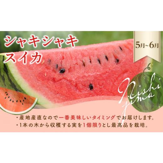 ふるさと納税 果物の詰合せ 高知県 南国市  年5回 旬のフルーツ定期便 季節のフルーツセット｜5回定期便 イチゴ いちご スイカ すいか マンゴー まんごー メロ…_3