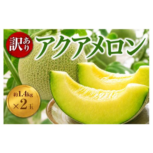 ふるさと納税 メロン メロン青肉 千葉県 東金市 千葉アクアメロン 約1.5kg ( L玉 ) × 1〜2玉 メロン めろん meron 大玉 マスクメロン 果物 フルーツ 温室メ…