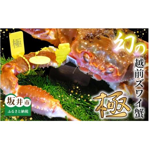 ふるさと納税 カニ ずわいガニ 福井県 坂井市 電話連絡で安心 特 上 特 級 越前ズワイ蟹 『極』 1杯 活状態で1.5kg以上 [2026年1月分 各月数量限定] W-1603…