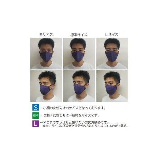 ふるさと納税 雑貨・日用品 福井県 坂井市 絹マスク 1枚 超立体ウイルス対策型 いろひかり カラー10色 ALLシーズン Sサイズ 1.すみ黒 A-9809_01 1.すみ黒の画像