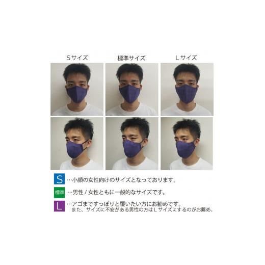 ふるさと納税 雑貨・日用品 福井県 坂井市 絹マスク 1枚 超立体ウイルス対策型 いろひかり カラー10色 ALLシーズン Sサイズ 9.レモン A-9809_09 9.レモンの画像