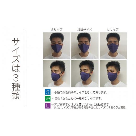 ふるさと納税 雑貨・日用品 福井県 坂井市 絹マスク 1枚 超立体ウイルス対策型 いろひかり カラー10色 ALLシーズン Mサイズ 1.すみ黒 A-9810_01 1.すみ黒の画像