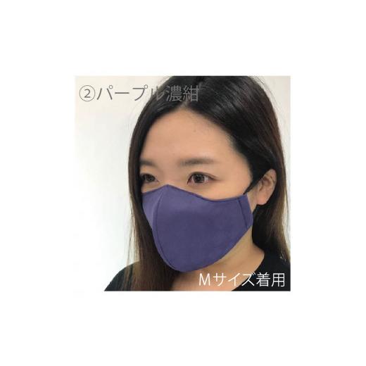ふるさと納税 雑貨・日用品 福井県 坂井市 絹マスク 1枚 超立体ウイルス対策型 いろひかり カラー10色 ALLシーズン Mサイズ 2.パープル濃紺 A-9810_02 2.パー…