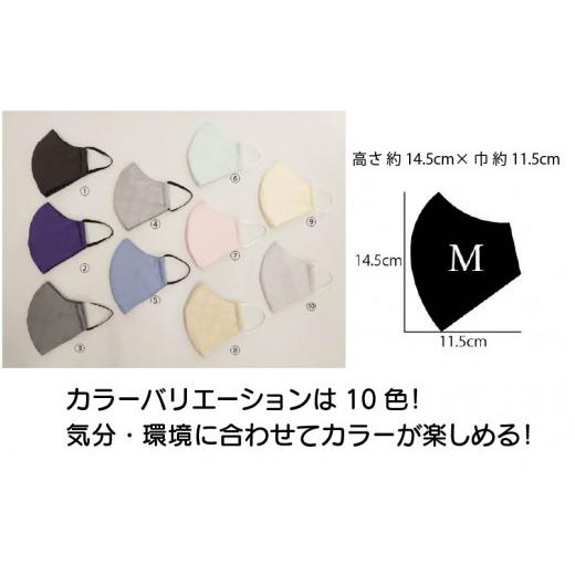 ふるさと納税 雑貨・日用品 福井県 坂井市 絹マスク 1枚 超立体ウイルス対策型 いろひかり カラー10色 ALLシーズン Mサイズ 10.白グレー A-9810_10 10.白グレ…の画像
