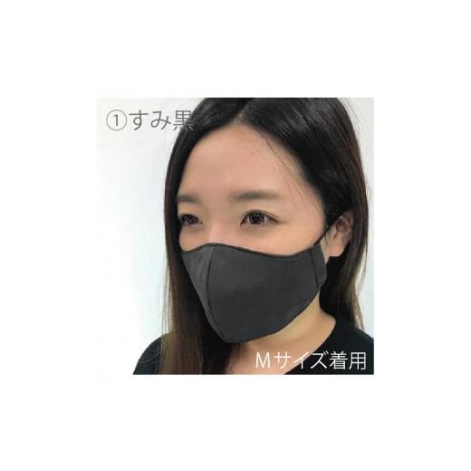 ふるさと納税 雑貨・日用品 福井県 坂井市 絹マスク 1枚 超立体ウイルス対策型 いろひかり カラー10色 ALLシーズン Lサイズ 1.すみ黒 A-9811_01 1.すみ黒