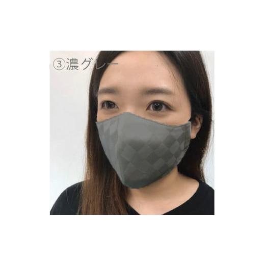 ふるさと納税 雑貨・日用品 福井県 坂井市 絹マスク 1枚 超立体ウイルス対策型 いろひかり カラー10色 ALLシーズン Lサイズ 3.濃グレー A-9811_03 3.濃グレー