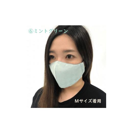 ふるさと納税 雑貨・日用品 福井県 坂井市 絹マスク 1枚 超立体ウイルス対策型 いろひかり カラー10色 ALLシーズン Lサイズ 6.ミントグリーン A-9811_06 6.ミ…