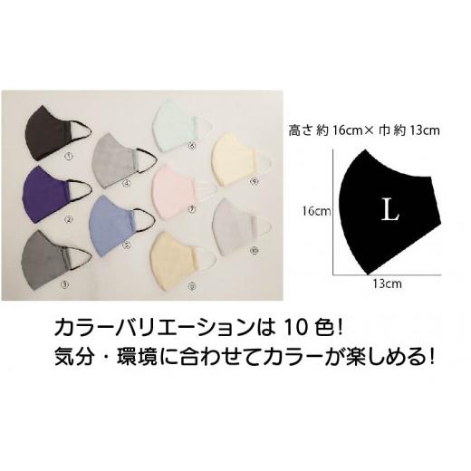 ふるさと納税 雑貨・日用品 福井県 坂井市 絹マスク 1枚 超立体ウイルス対策型 いろひかり カラー10色 ALLシーズン Lサイズ 8.ベージュ A-9811_08 8.ベージュの画像