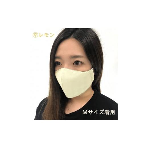 ふるさと納税 雑貨・日用品 福井県 坂井市 絹マスク 1枚 超立体ウイルス対策型 いろひかり カラー10色 ALLシーズン Lサイズ 9.レモン A-9811_09 9.レモン