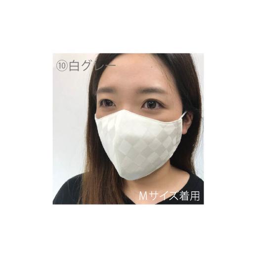 ふるさと納税 雑貨・日用品 福井県 坂井市 絹マスク 1枚 超立体ウイルス対策型 いろひかり カラー10色 ALLシーズン Lサイズ 10.白グレー A-9811_10 10.白グレ…