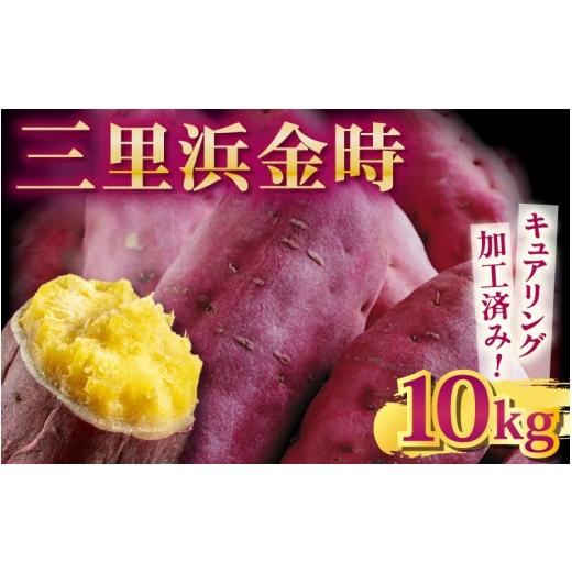 ふるさと納税 野菜類 サツマイモ 福井県 坂井市 先行予約 三里浜金時 10kg (5kg×2箱) キュアリング加工済み 2026年11月上旬以降順次発送 さつまいも さつま…