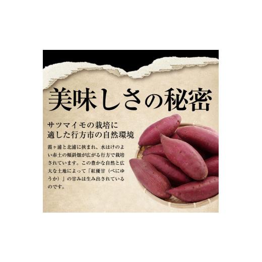 ふるさと納税 野菜類 サツマイモ 茨城県 行方市 『天皇杯受賞』さつま芋使用 紅優甘平干し芋1.4kg(AE-30)の画像