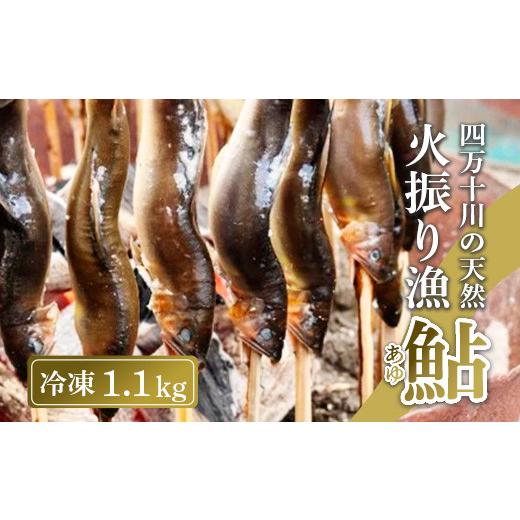 ふるさと納税 川魚 あゆ 高知県 中土佐町 火振り漁 天然鮎 1.1kg 冷凍 4〜14尾 レシピ付き 個包装 1年保存 四万十川 上流 清流 釣り鮎 あゆ アユ 川魚 天然 …