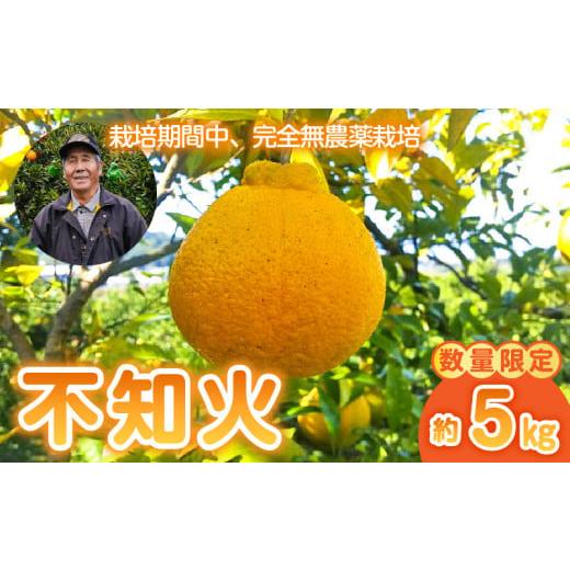 ふるさと納税 みかん・柑橘類 熊本県 宇土市 73-12 先行予約 中嶋果樹園 栽培期間中無農薬 MOA自然農法 完熟袋掛け不知火(しらぬい) 約5kg