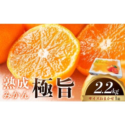 ふるさと納税 果物類 みかん 徳島県 佐那河内村 先行予約 熟成みかん『極旨』1箱 廣畠農園[2月初旬-2月末頃出荷予定]徳島県 佐那河内村 みかん ミカン 蜜柑…