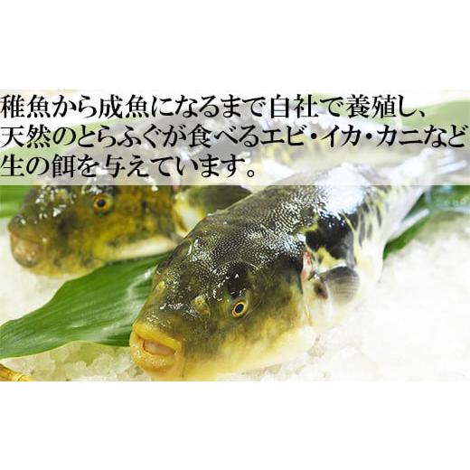 ふるさと納税 大分県 杵築市 【冷凍】大分水産の豊後とらふぐ料理セット2人前（白子付） ＜104-034_5＞｜furusatochoice｜05